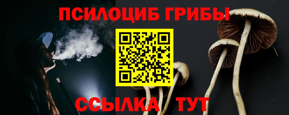 Галлюциногенные грибы мицелий Дивногорск